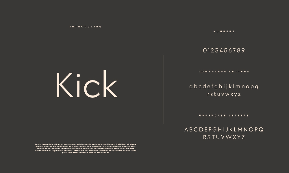 tipografija-v-cgp-prirocniku-1